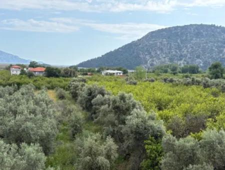 1.721M2 Grundstück Zum Verkauf Im Dorf Çandır Mit Meer- Und Seeblick