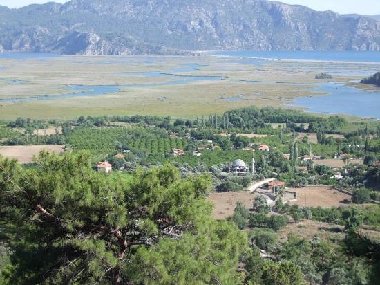 19.334 M² Großes Grundstück Zum Verkauf In Çandır, Köyceğiz.