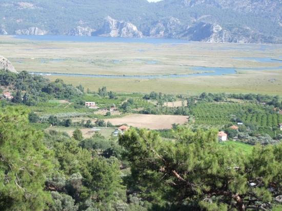 19.334 M² Großes Grundstück Zum Verkauf In Çandır, Köyceğiz.