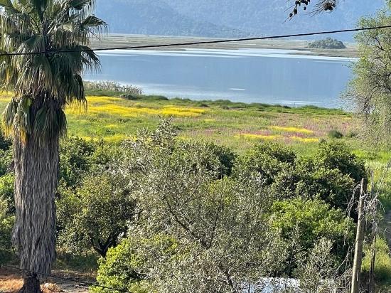 1252m2 Grundstück Zum Verkauf Mit Seeblick In Çandır