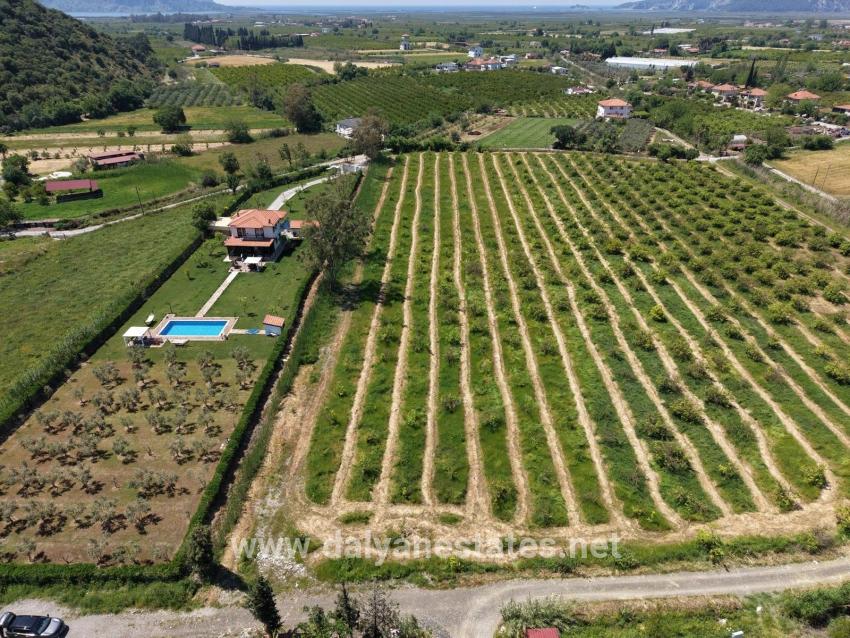 5100m2 Plot Of Land For Sale Near Dalyan Town Center.