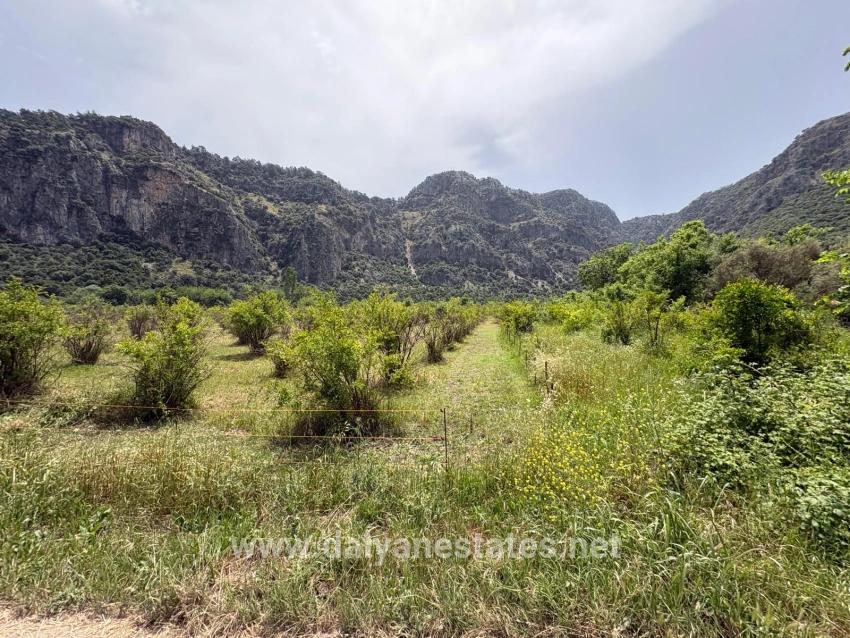 2100 M2 Plot Of Land For Sale In Okçular Marmaris.