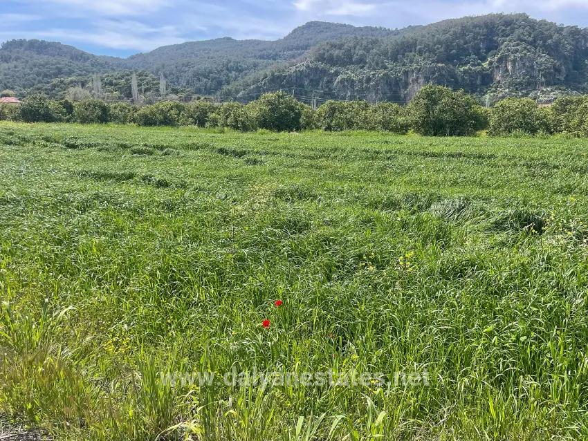 Archers' In Okçular'da 736m2 Olan 250m2 Construction Licensed For Sale Plot
