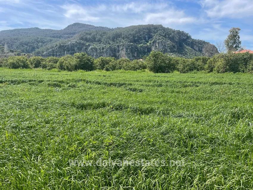 Archers' In Okçular'da 736m2 Olan 250m2 Construction Licensed For Sale Plot