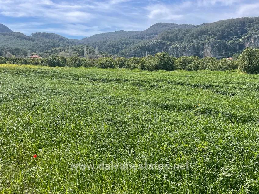 Archers' In Okçular'da 736m2 Olan 250m2 Construction Licensed For Sale Plot