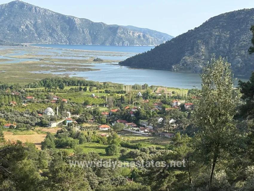 Field For sale in Çandır Nbh. Köyceğiz - Field Zoned - 1.252 m²