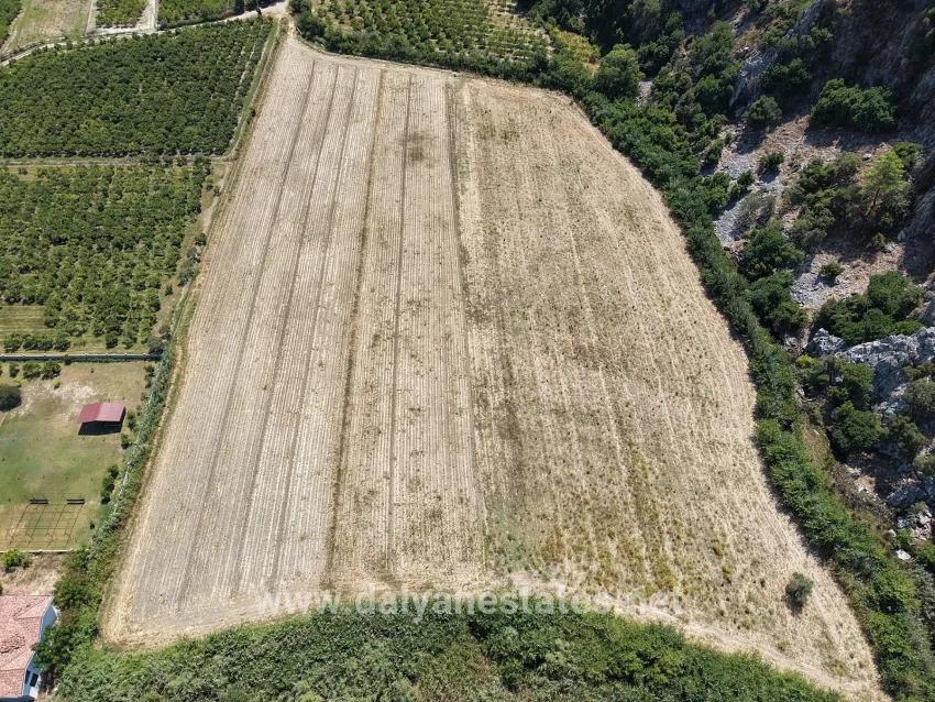 Field For sale in Dalyan Nbh. Ortaca - Field Zoned - 20.786 m²