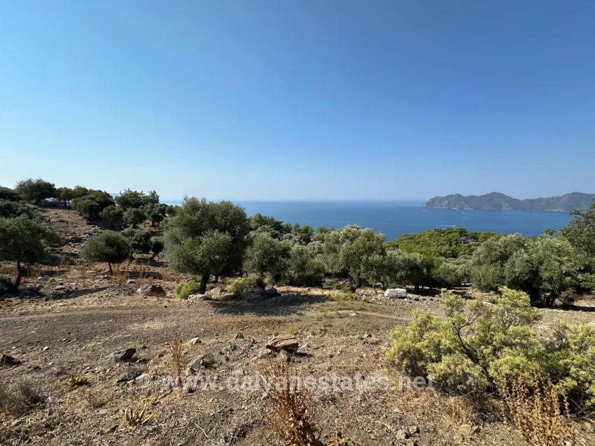 Field For sale in Çandır Nbh. Köyceğiz - Field Zoned - 21.000 m²