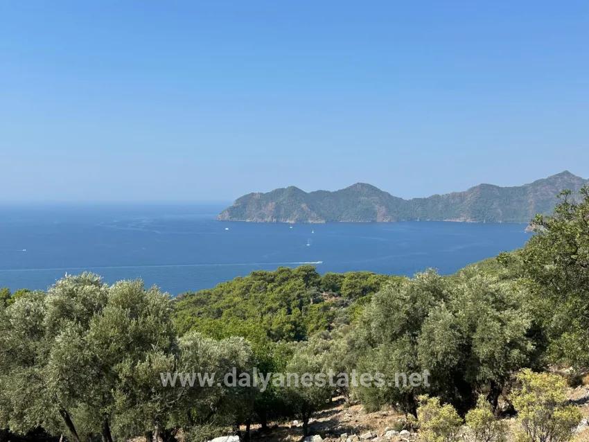 Field For sale in Çandır Nbh. Köyceğiz - Field Zoned - 21.000 m²