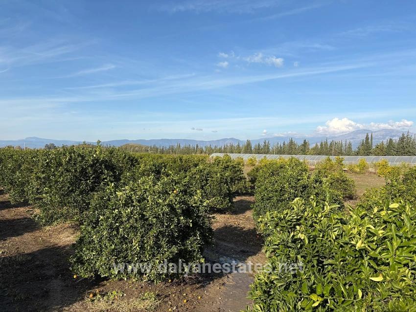 4+1 Villa For Sale In Eskiköy, Located In A 14,136 M2 Field