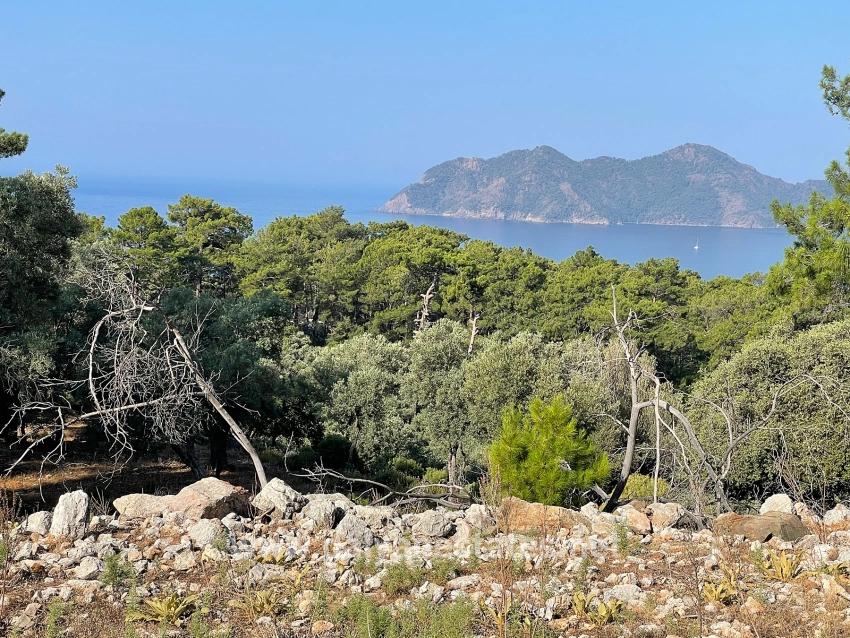 Bargain Real Estate Land For Sale With Sea View In Ekincik Çandır Arasın