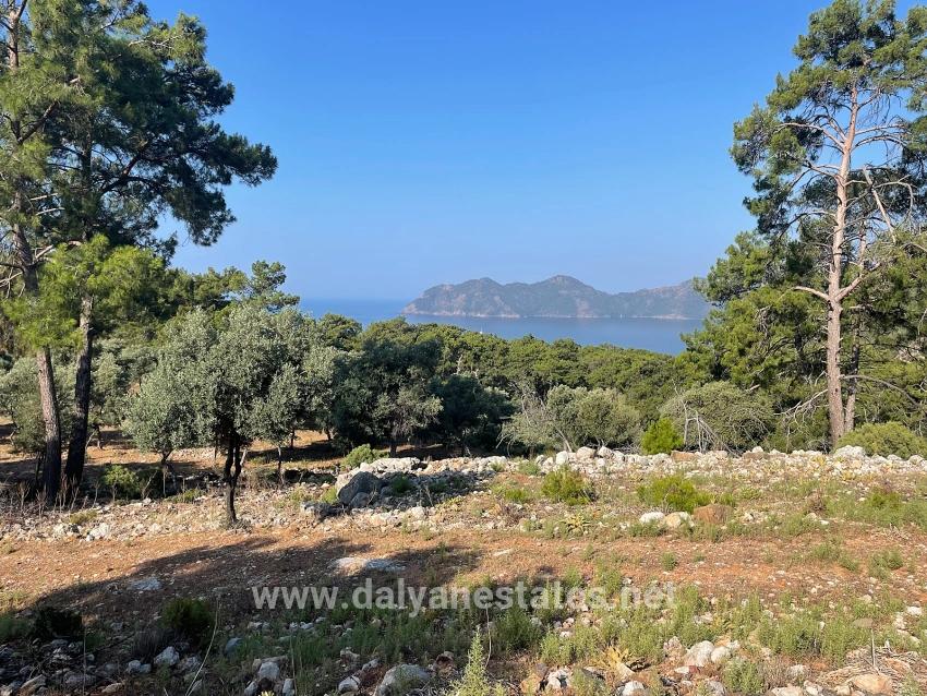 Bargain Real Estate Land For Sale With Sea View In Ekincik Çandır Arasın