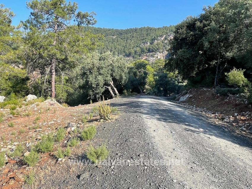 Bargain Real Estate Land For Sale With Sea View In Ekincik Çandır Arasın