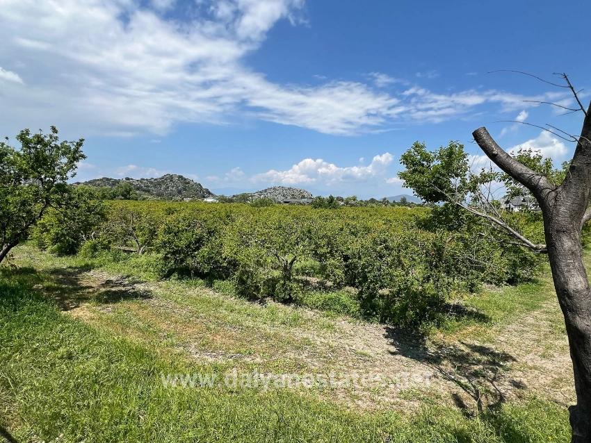 5,100 M² Plot Of Land For Sale In Dalyan, Maraş Area, Zoned For 5% Residential Use.