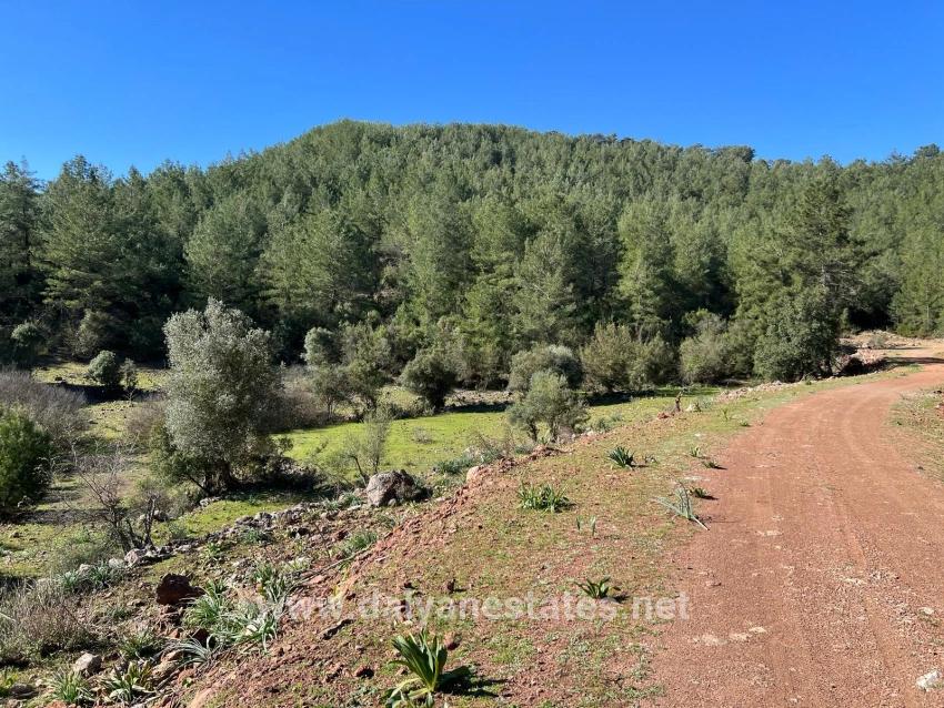 Field For sale in Gökbel Nbh. Ortaca - Field Zoned - 24.163 m²