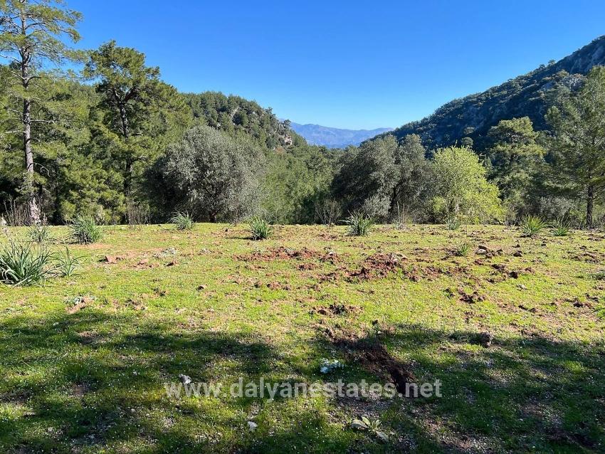 Land For Sale In Gökbel, Surrounded By Nature And Forest.