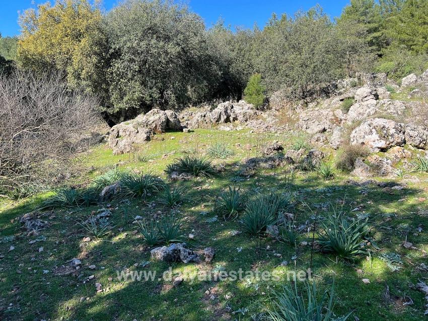 Land For Sale In Gökbel, Surrounded By Nature And Forest.