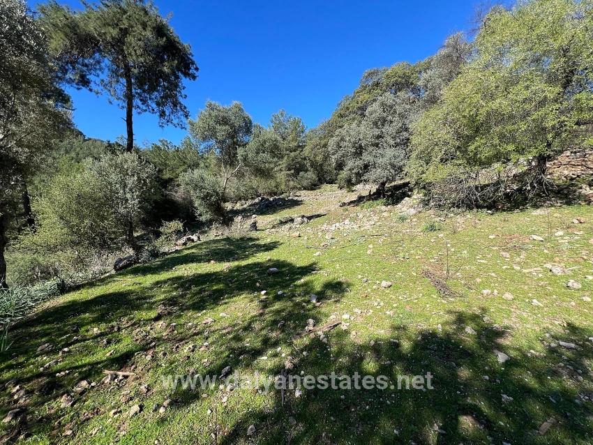 Land For Sale In Gökbel, Surrounded By Nature And Forest.