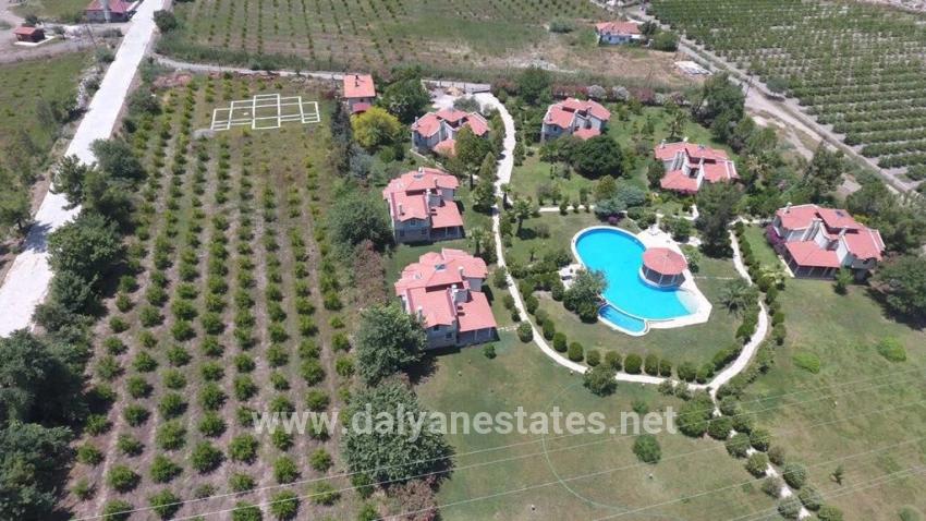 6000m2 Land For Sale In Çandır, Köyceğiz