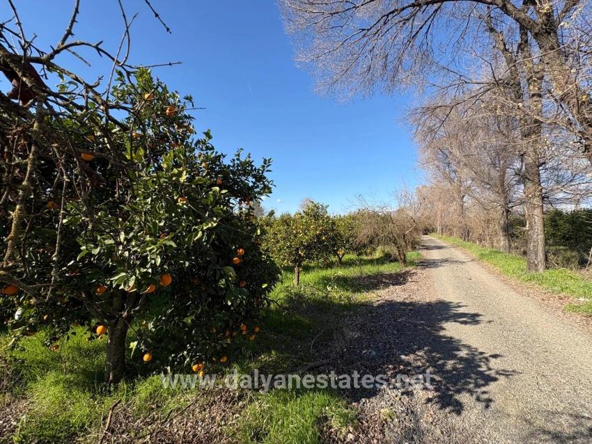 4,326 M² Plot Of Land For Sale In The Residential Area Of Okçular.