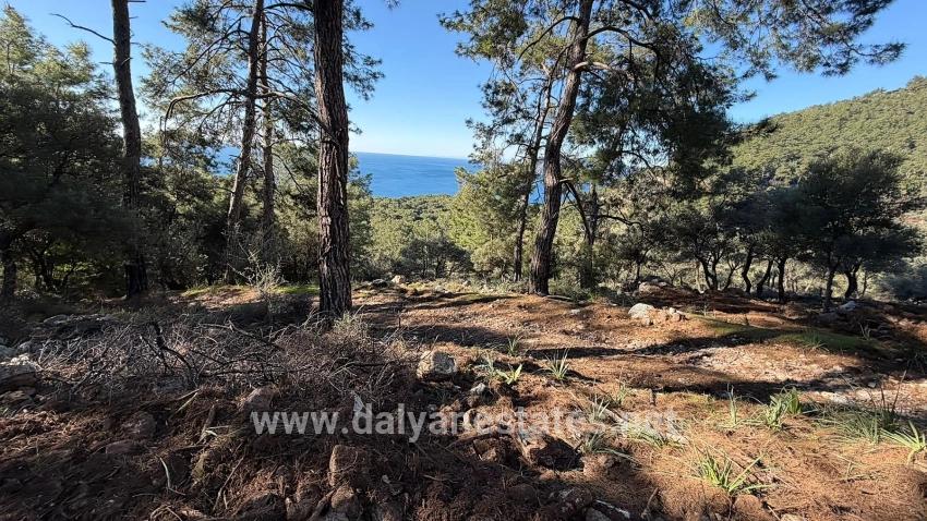 2b Field Of 5715m2 For Sale With Full Sea View In Çandır