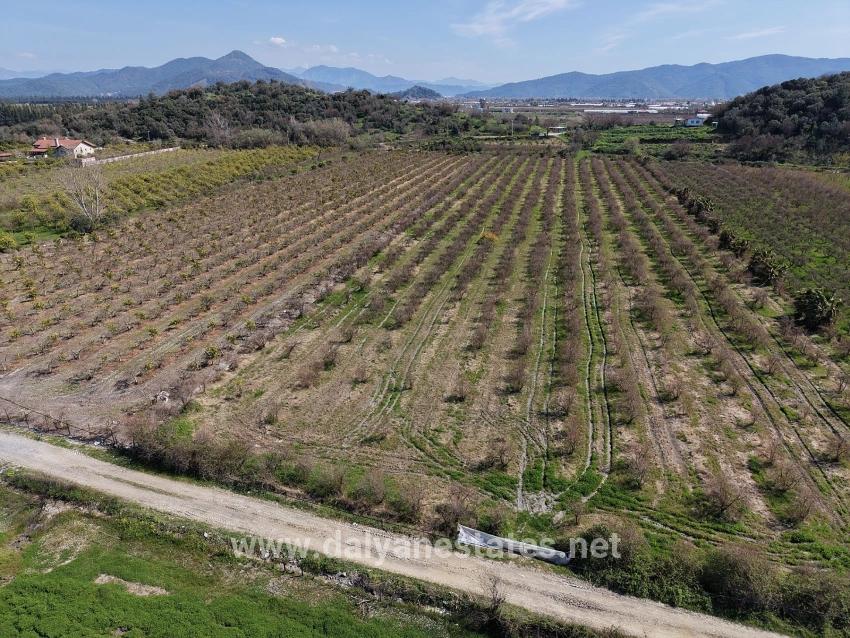 16.710m2 Pomegranate Garden For Sale With Lake View In Eskiköy