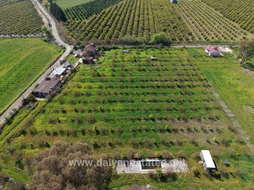 Tourism-oriented Business For Sale On An 11,000 M2 Plot Of Land In Eskiköy.
