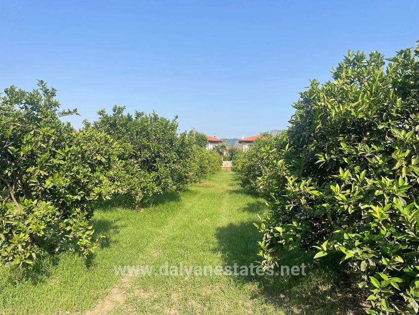 722m2 Land For Sale In Dalyan Gülpınar