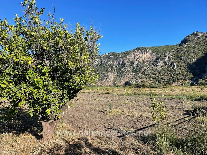 6600m2 Plot Of Land For Sale Near The Center Of Dalyan.