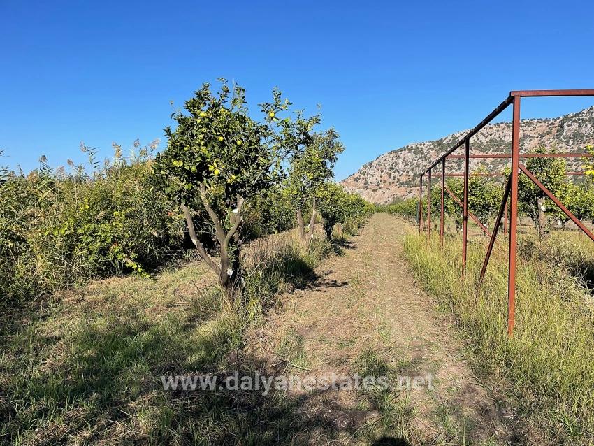 6600m2 Plot Of Land For Sale Near The Center Of Dalyan.