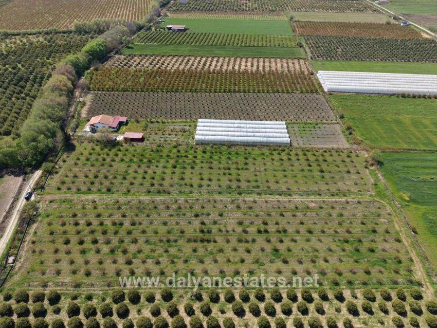 Field For sale in Eskiköy Nbh. Ortaca - Field Zoned - 16.000 m²