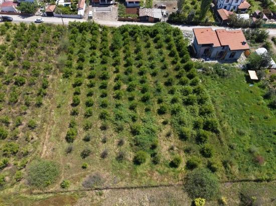Land For Sale In Okçular, 1050m2, In The Village Residential Area.