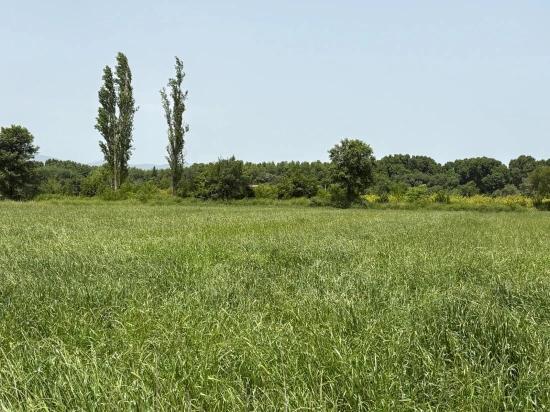 2100 M2 Plot Of Land For Sale In Okçular Marmaris.