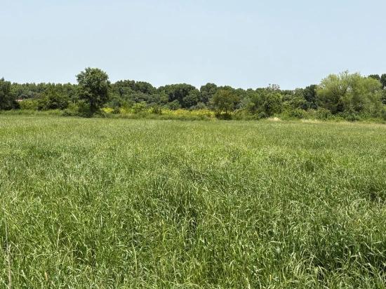 2390m2 Land For Sale In Okçular Marmaris