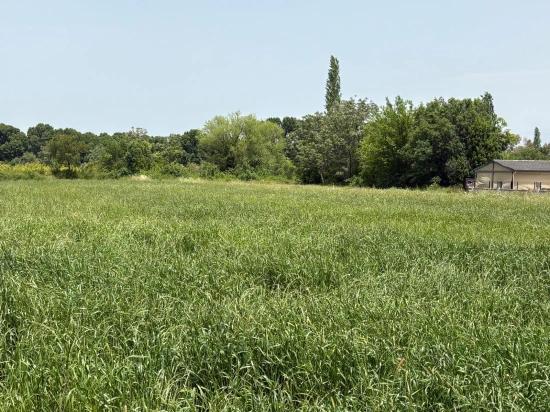2390m2 Land For Sale In Okçular Marmaris