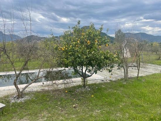 Boutique Hotel And Bungalows For Sale On An 11,000m2 Plot In Dalyan