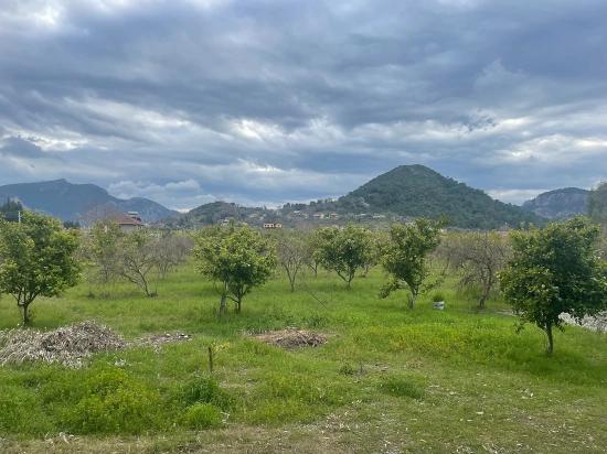 Boutique Hotel And Bungalows For Sale On An 11,000m2 Plot In Dalyan