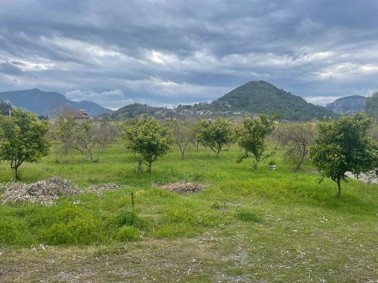 Boutique Hotel And Bungalows For Sale On An 11,000m2 Plot In Dalyan