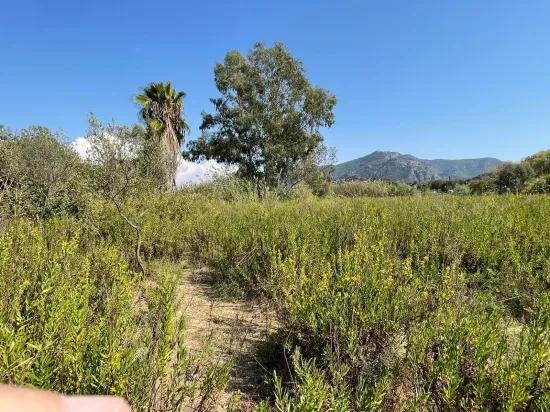 2765m2 Detached House For Sale In Çandır, Right Next To The Canal