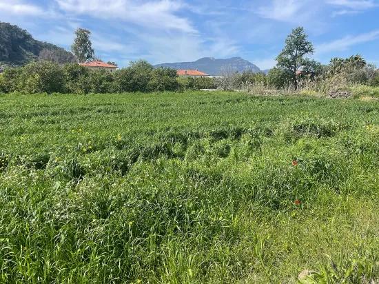 Archers' In Okçular'da 736m2 Olan 250m2 Construction Licensed For Sale Plot