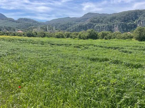 Archers' In Okçular'da 736m2 Olan 250m2 Construction Licensed For Sale Plot