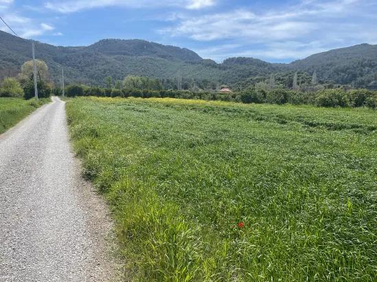 Archers' In Okçular'da 736m2 Olan 250m2 Construction Licensed For Sale Plot