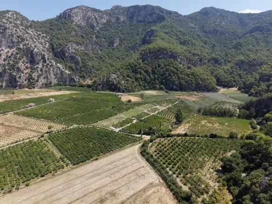 In Dalyan, a 20.786m2 field for sale