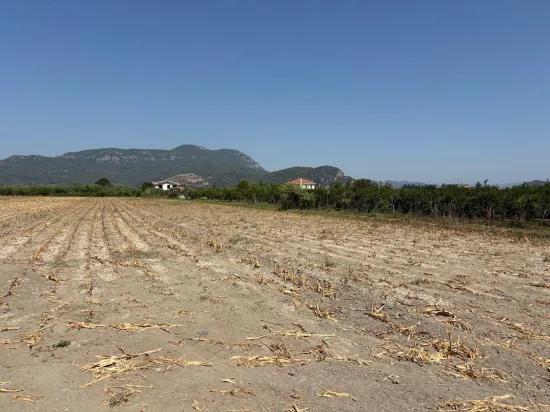 In Dalyan, a 20.786m2 field for sale