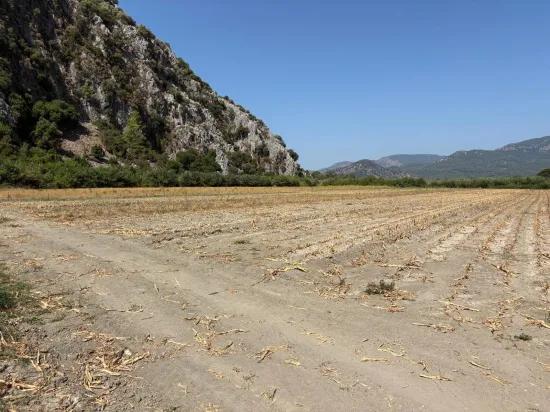 In Dalyan, a 20.786m2 field for sale