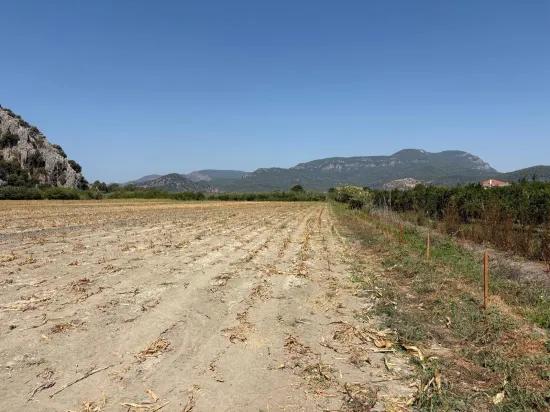 In Dalyan, a 20.786m2 field for sale