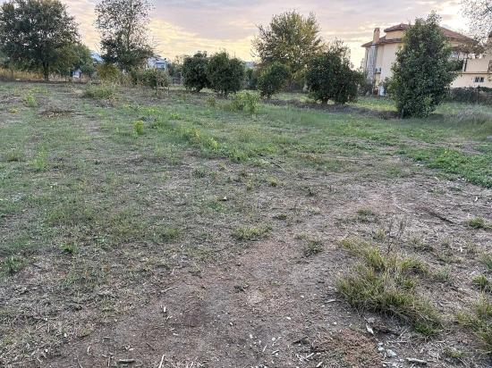 7,450 M² Plot Of Land For Sale In Dalyan With 5% Zoning.
