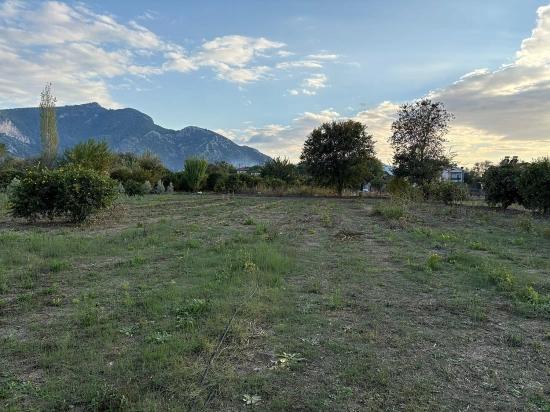 7,450 M² Plot Of Land For Sale In Dalyan With 5% Zoning.