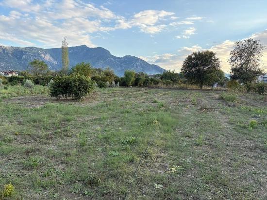 7,450 M² Plot Of Land For Sale In Dalyan With 5% Zoning.