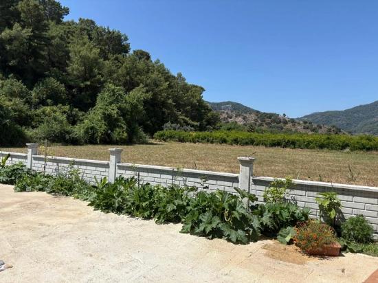 120m2 Detached Wooden House On A 2500m2 Field In Dalyan Karadağ Area